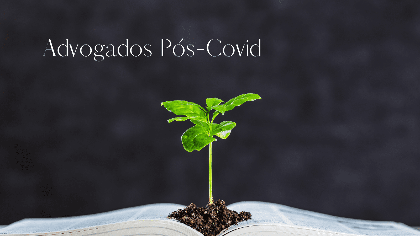 Advogados Pós-Covid